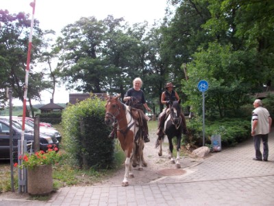 Die Dübener Heide mit dem eigenem oder mit einem Miet-Pferd entdecken...